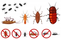 Научете повече за  пръскане срещу хлебарки 9