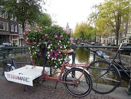 екскурзия до амстердам - 10440 бестселъри