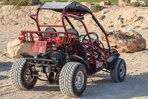 Off Road Buggy - 45363 combinations